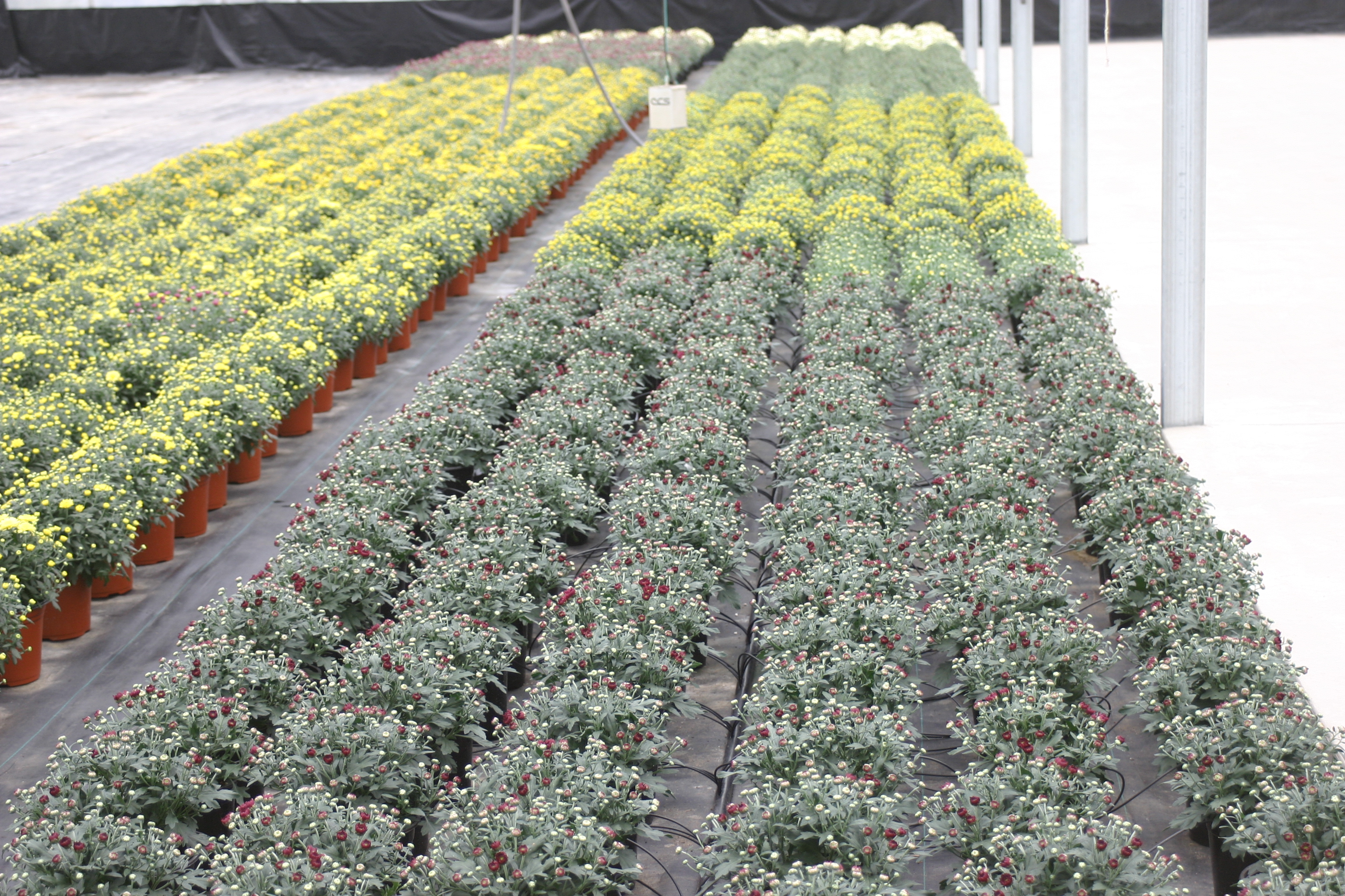 Michigan West Shore Nursery