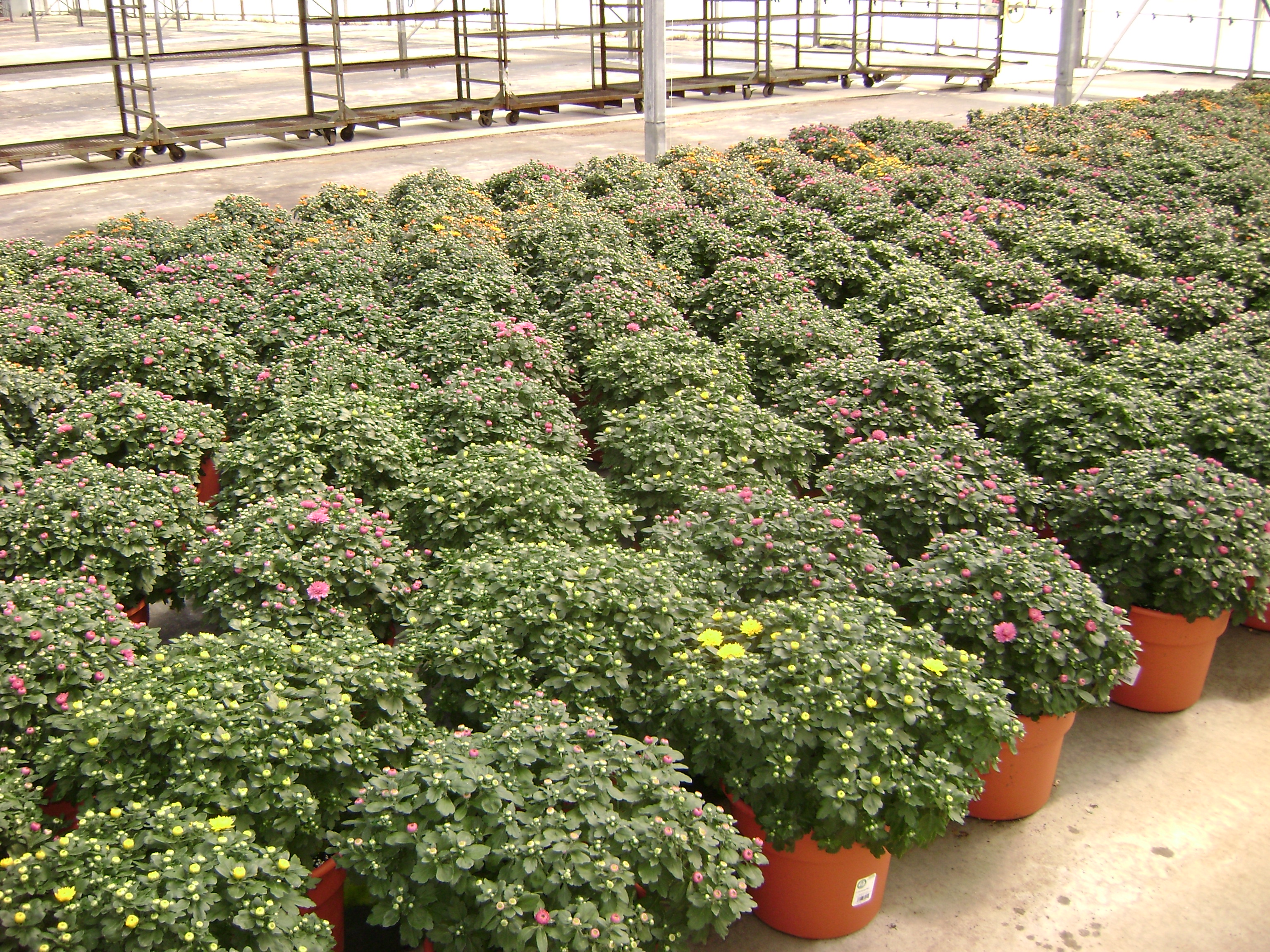 Michigan West Shore Nursery
